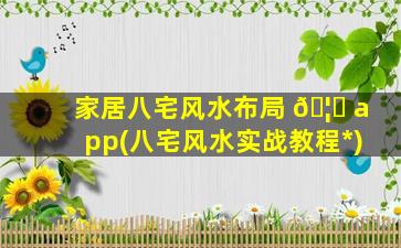 家居八宅风水布局 🦍 app(八宅风水实战教程*
)